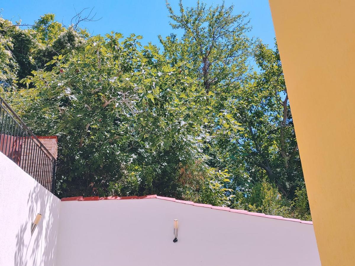 Villa Metatron U Doma بالشيك المظهر الخارجي الصورة